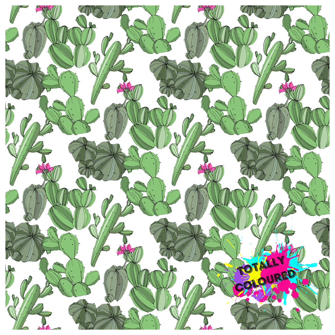 Cactus Pack 2