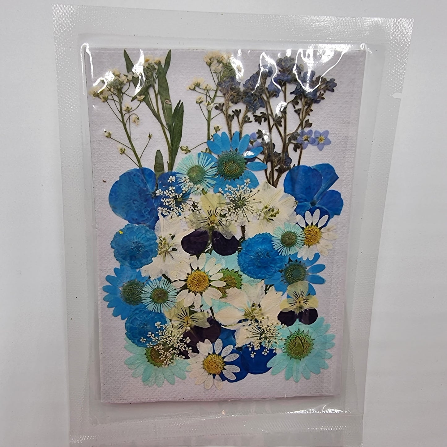 Dried Pressed Flowers - Blue & White - Mystic Art Glitters