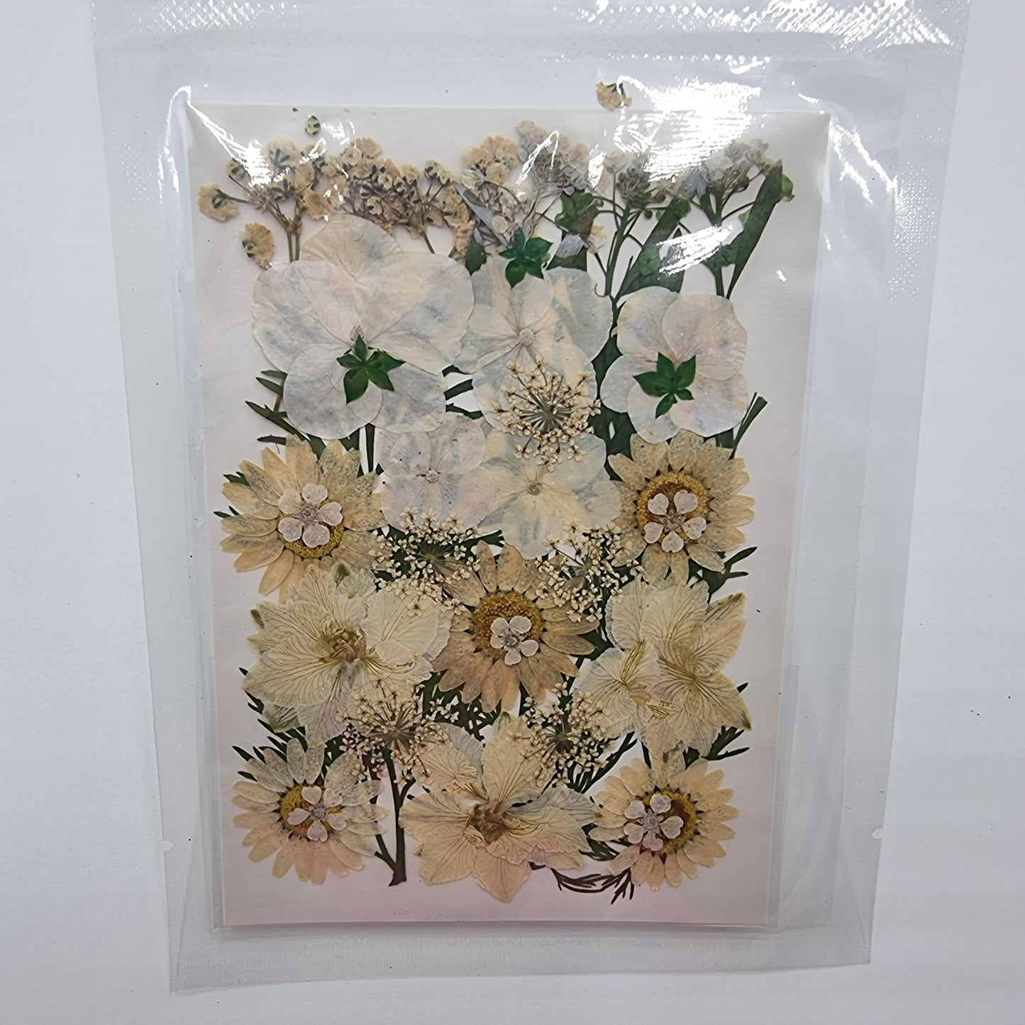 Dried Pressed Flowers - White - Mystic Art Glitters