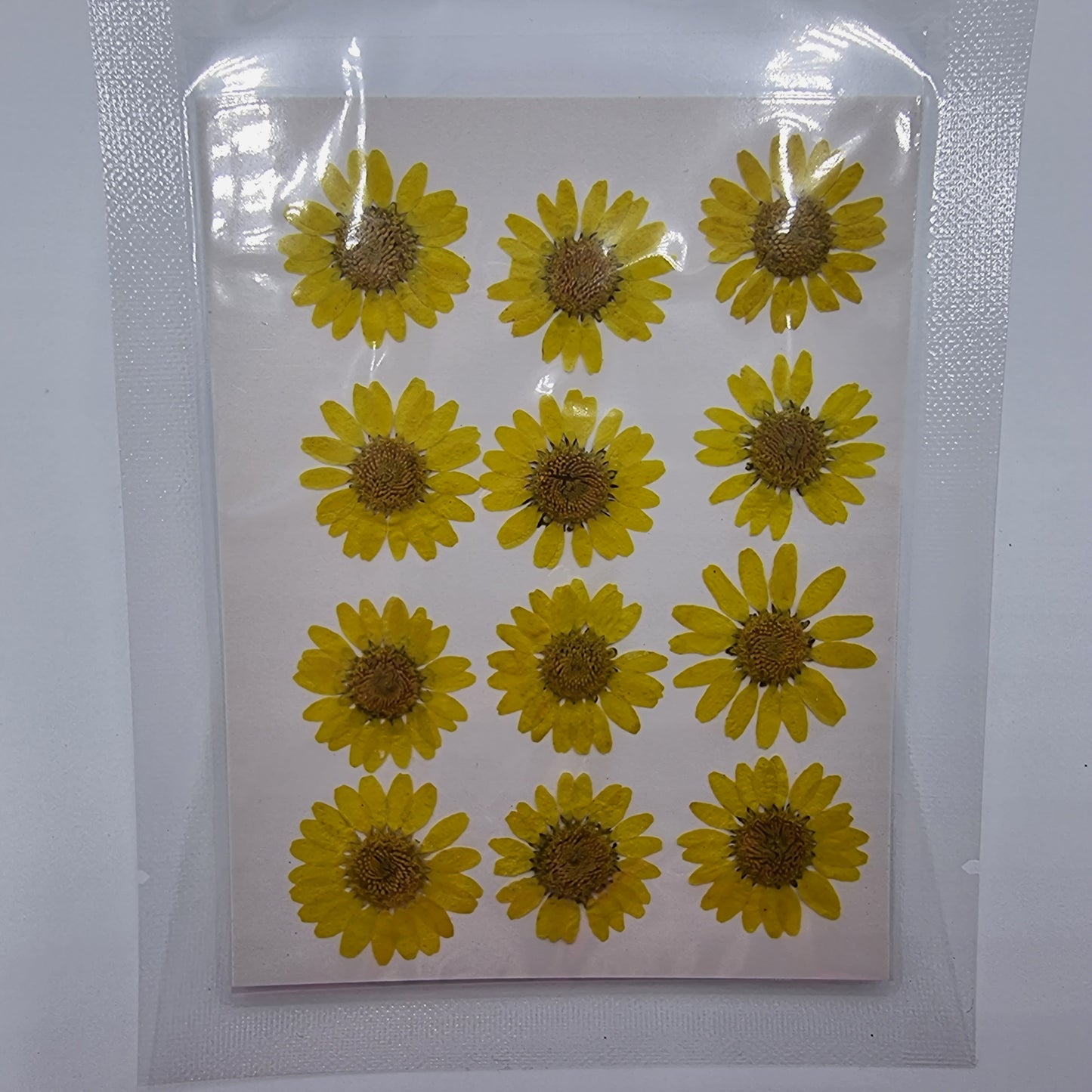 Dried Pressed Flowers - Yellow Daisies Large - Mystic Art Glitters