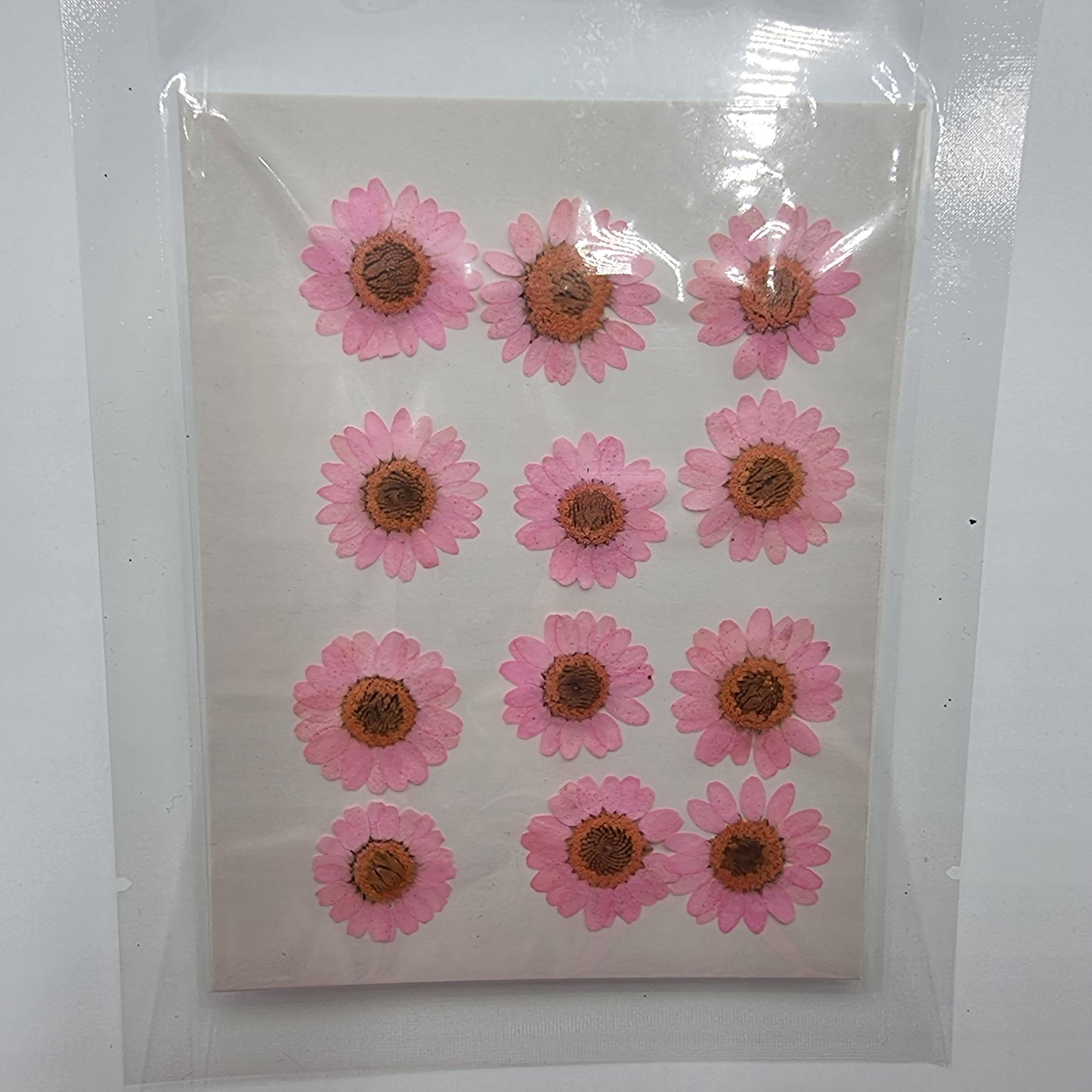 Dried Pressed Flowers - Pink Daisies Large - Mystic Art Glitters