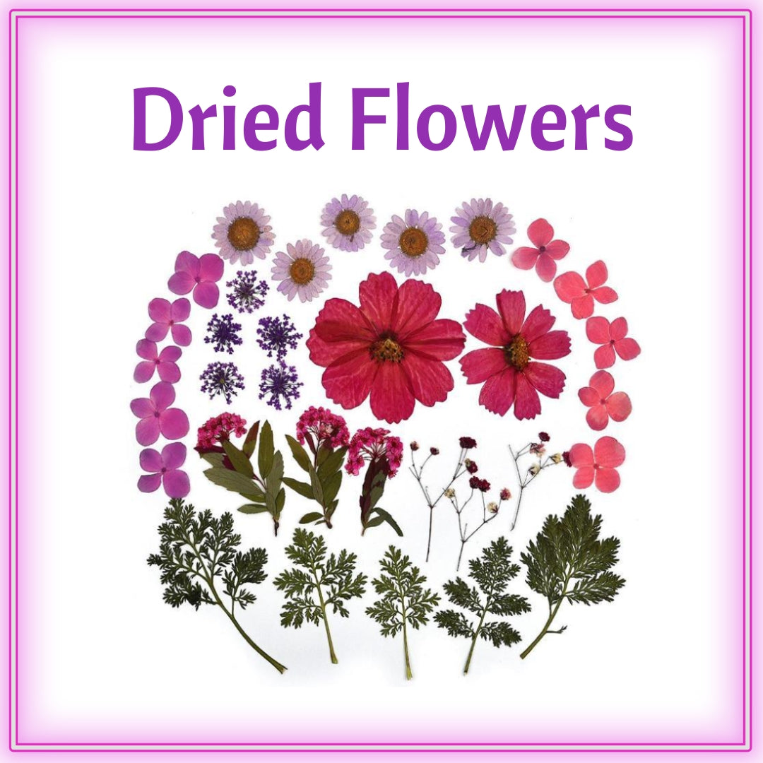 Dried Flowers