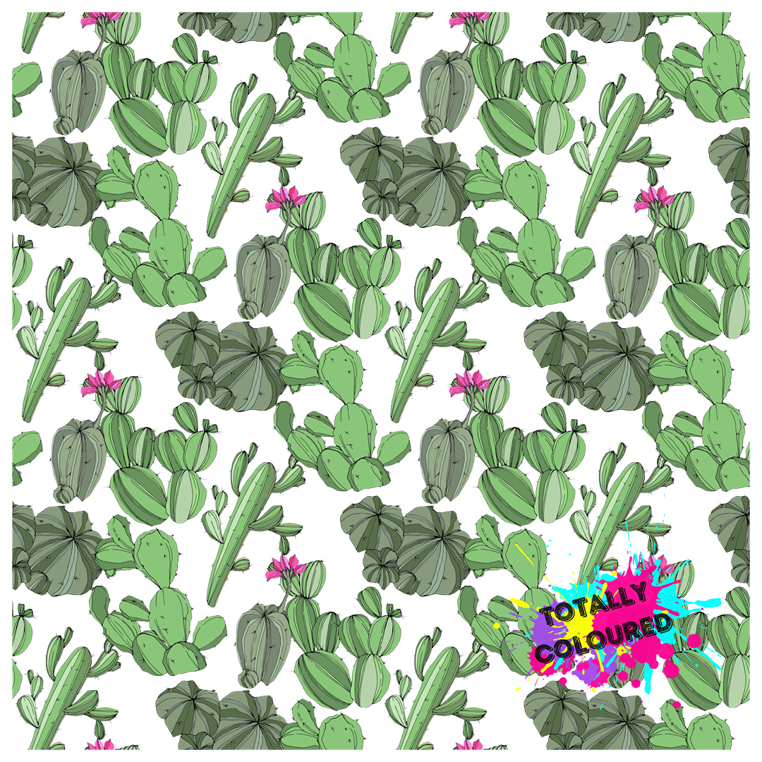 Cactus Pack 1
