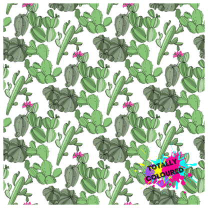 Cactus Pack 2
