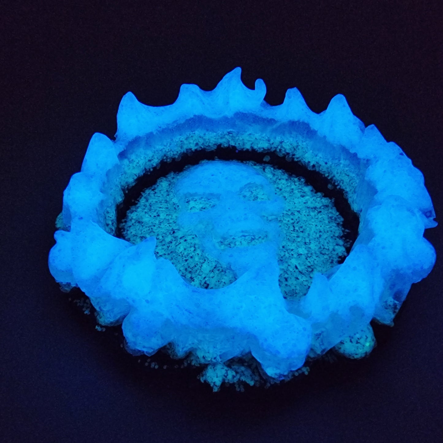Glow In The Dark Resin Skull Ashtray