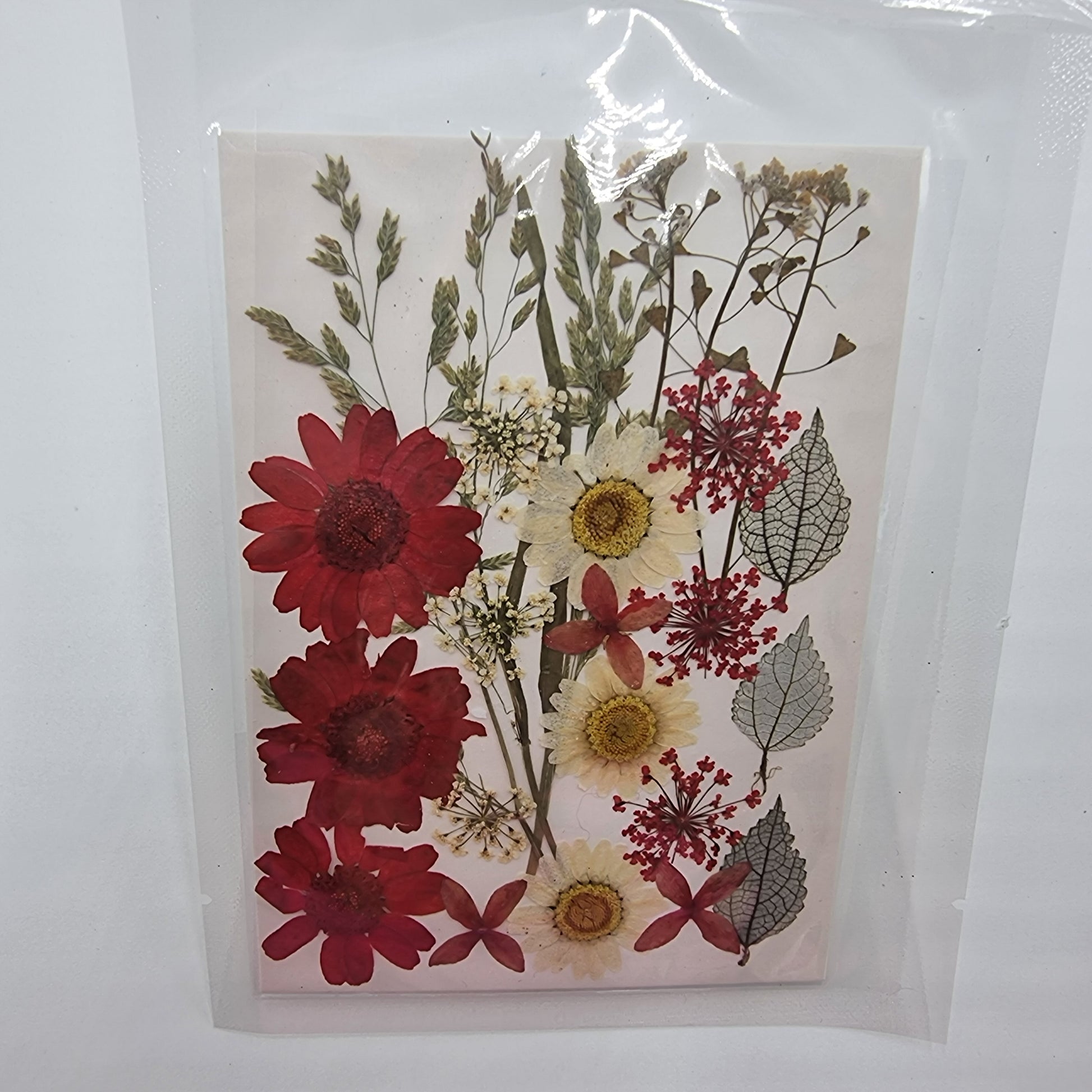 Dried Pressed Flowers - Red & White - Mystic Art Glitters
