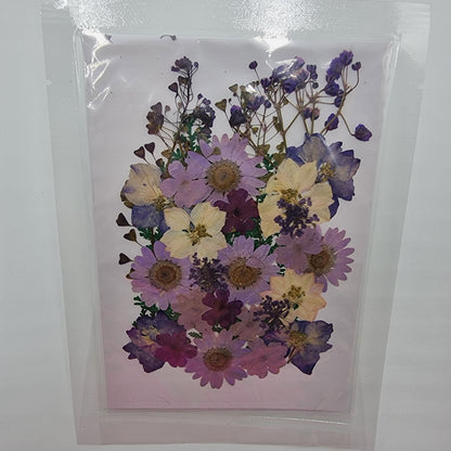 Dried Pressed Flowers - Purple - Mystic Art Glitters