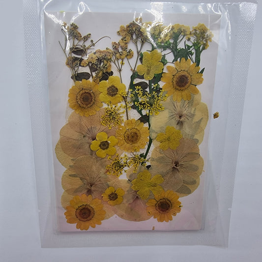 Dried Pressed Flowers - Yellow - Mystic Art Glitters