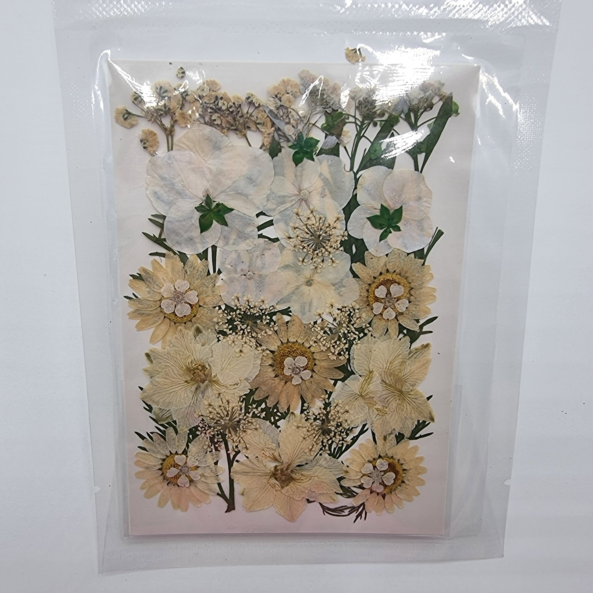 Dried Pressed Flowers - White - Mystic Art Glitters