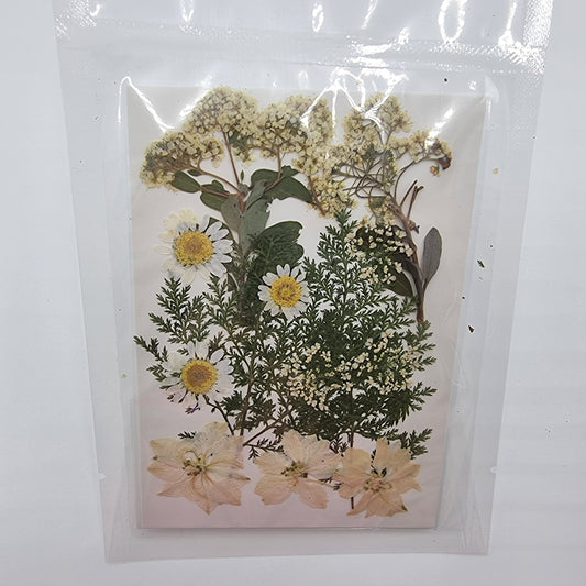 Dried Pressed Flowers - White - Mystic Art Glitters