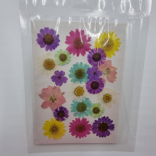 Dried Pressed Flowers - Mixed Colour - Mystic Art Glitters