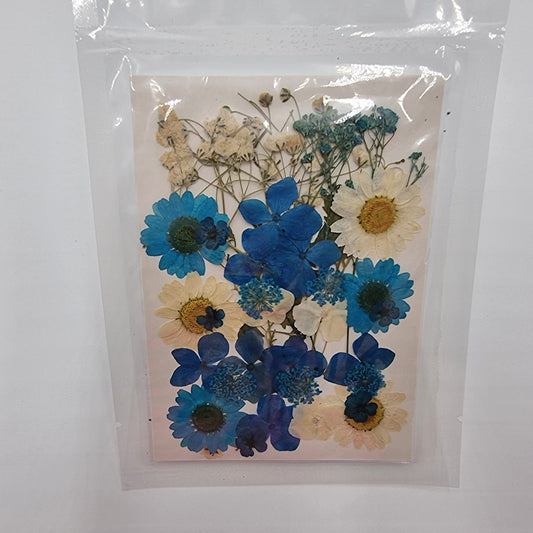 Dried Pressed Flowers - Blue & White - Mystic Art Glitters