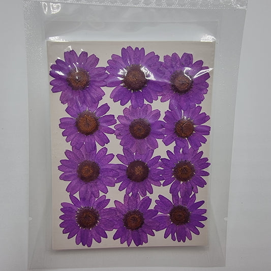 Dried Pressed Flowers - Purple Daisies Large - Mystic Art Glitters