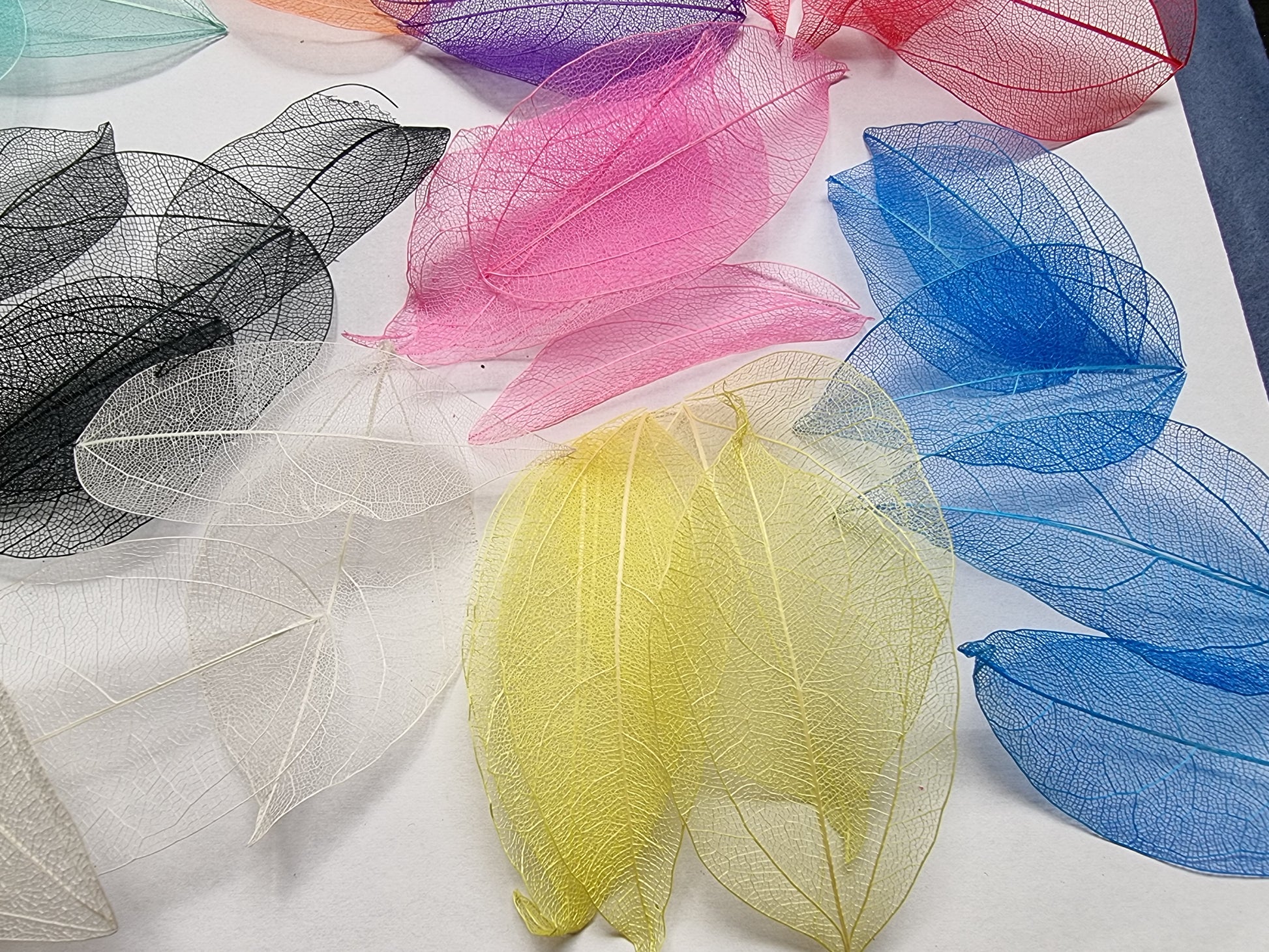 Coloured Skeleton Leaves Small x 50 - Mystic Art Glitters