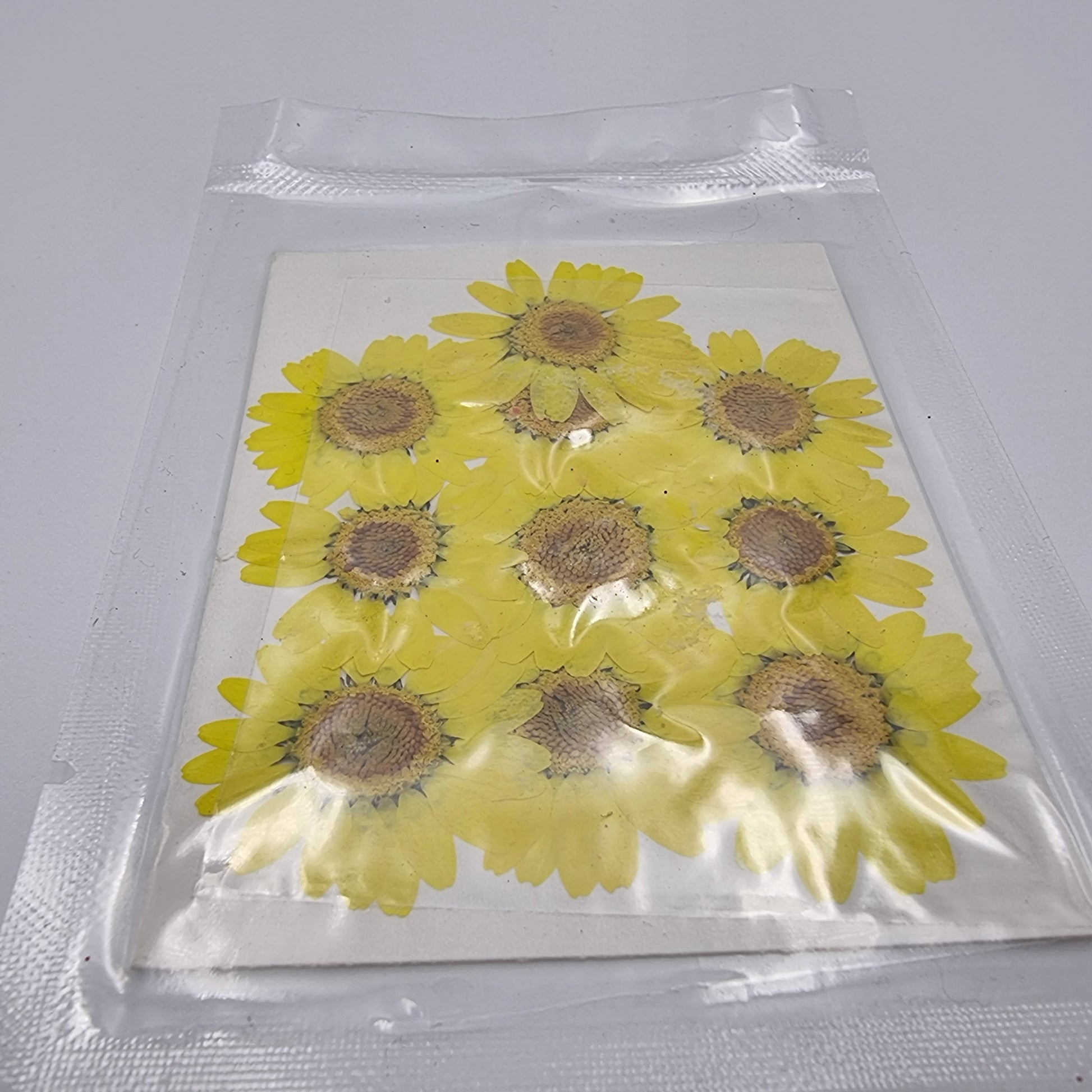 Dried Pressed Flowers - Yellow Daisies Small - Mystic Art Glitters