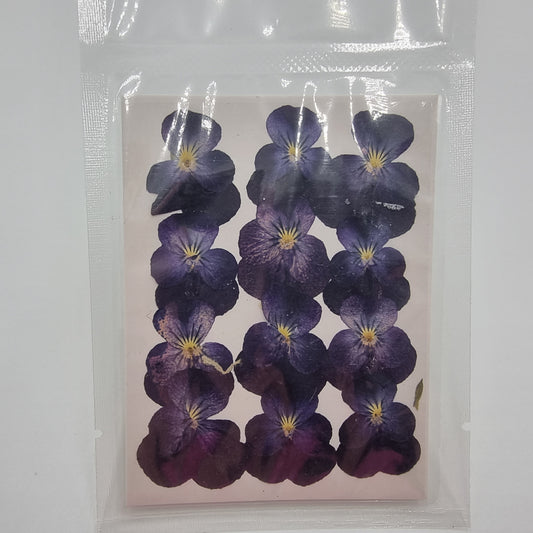 Dried Pressed Flowers - Dark Purple Small - Mystic Art Glitters