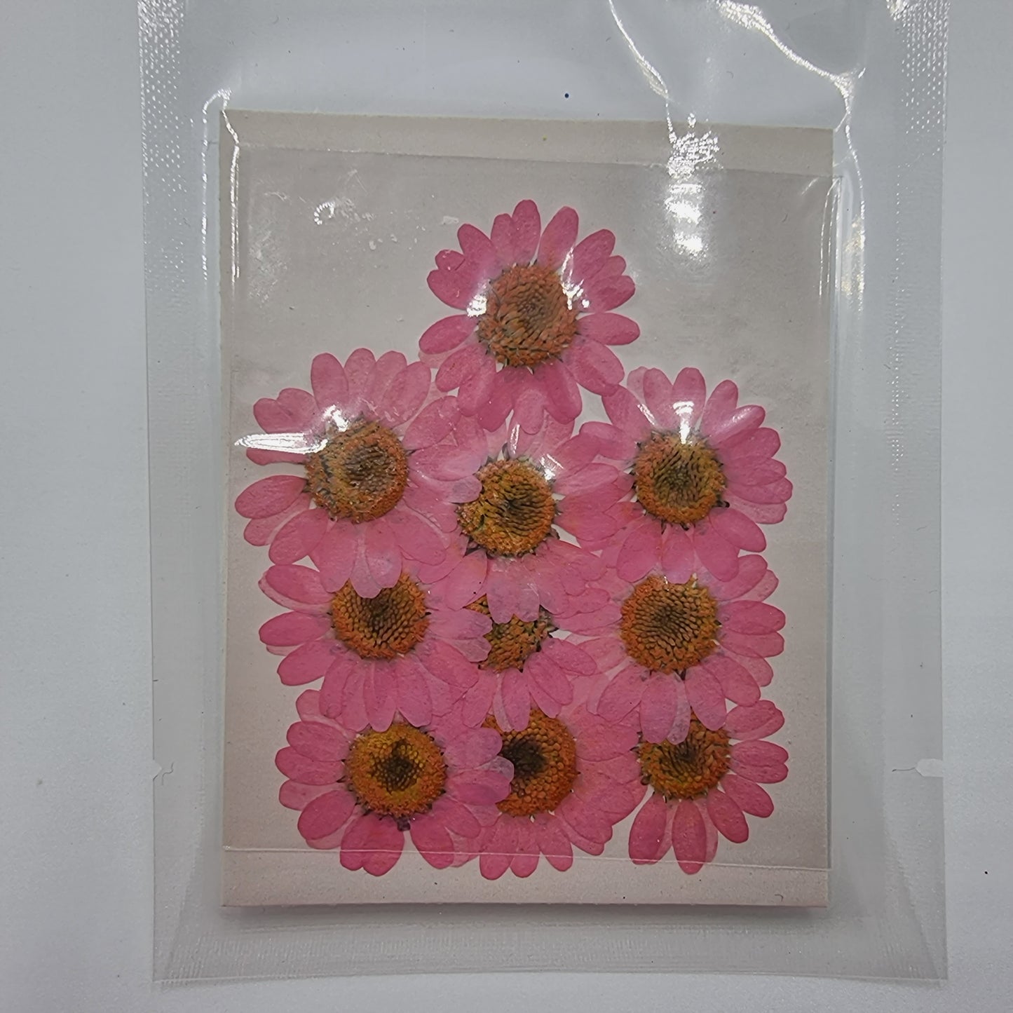 Dried Pressed Flowers - Pink Daisies Small - Mystic Art Glitters