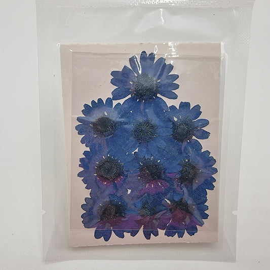 Dried Pressed Flowers - Dark Blue Daisies Small - Mystic Art Glitters
