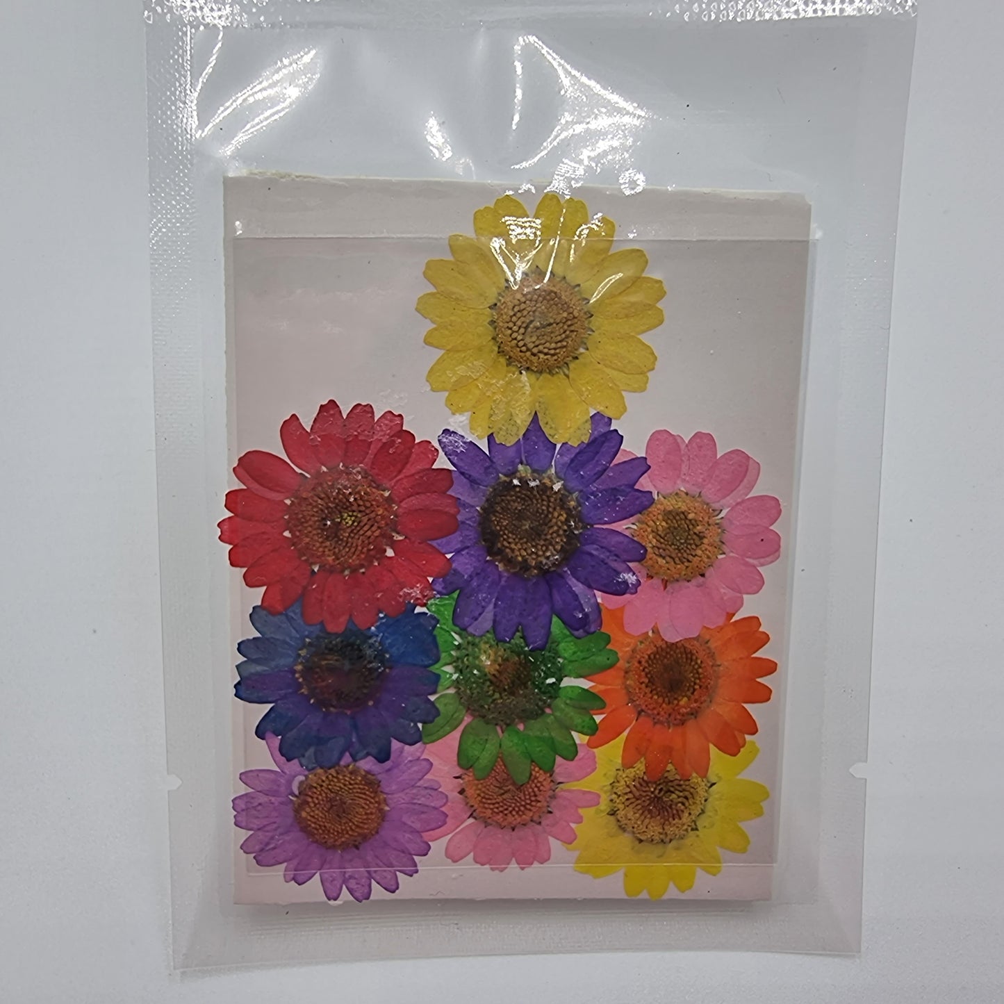 Dried Pressed Flowers - Daisies Mixed Colours Small - Mystic Art Glitters