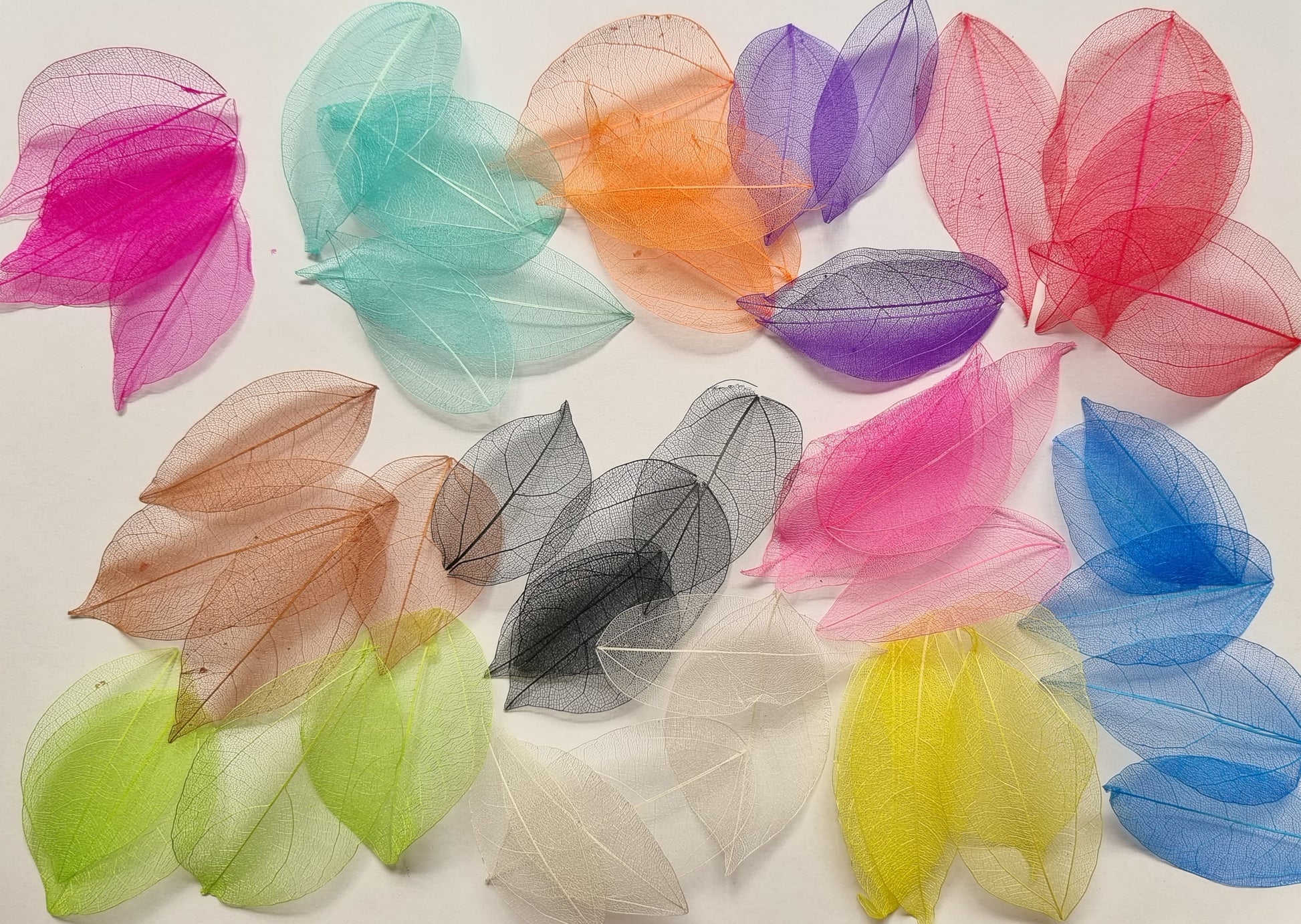 Coloured Skeleton Leaves Small x 50 - Mystic Art Glitters