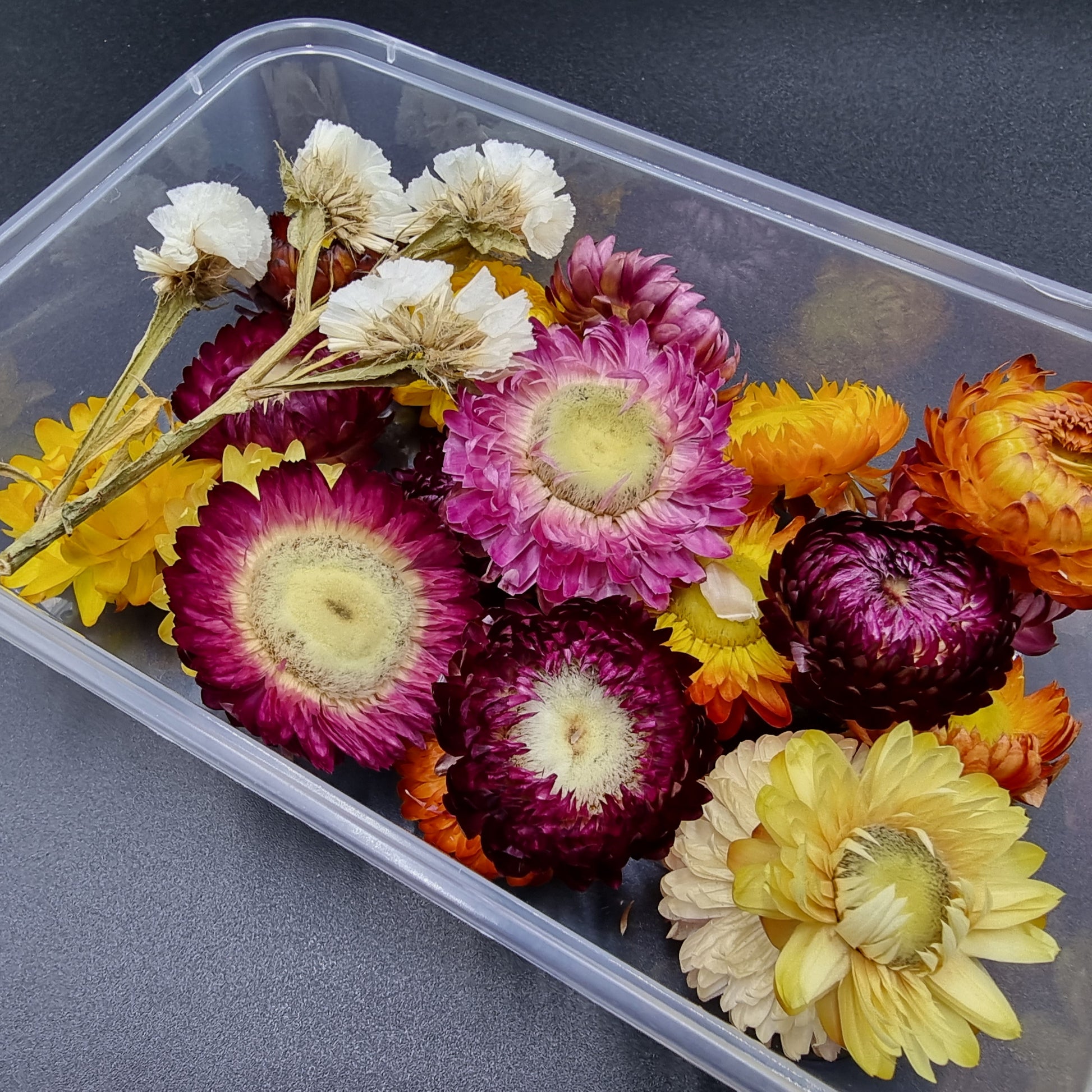 Dried Flowers - Mystic Art Glitters