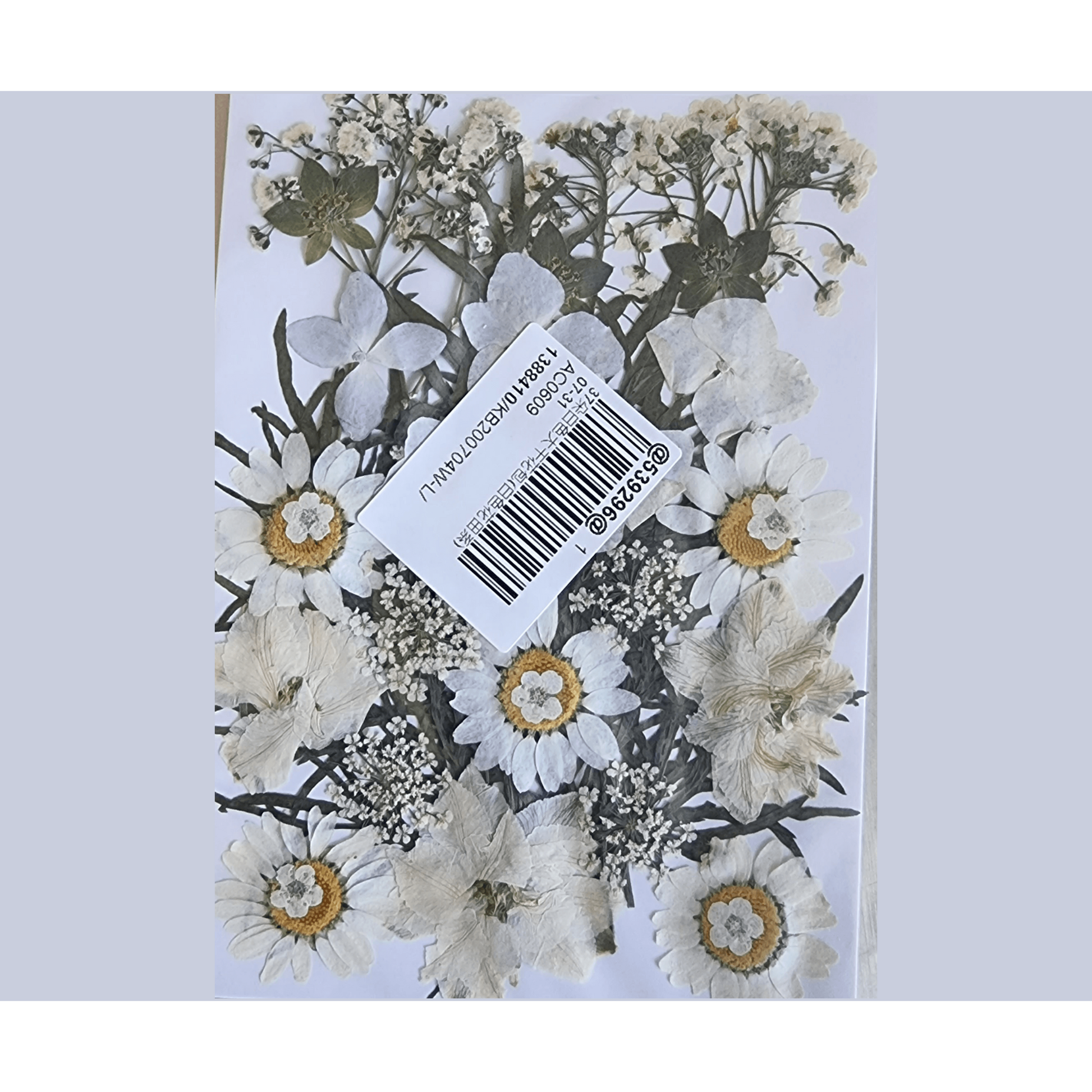 Dried Pressed Flowers - White - Mystic Art Glitters