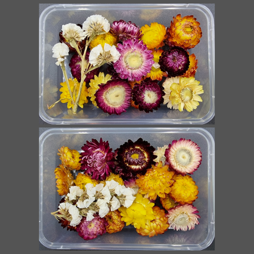 Dried Flowers - Mystic Art Glitters